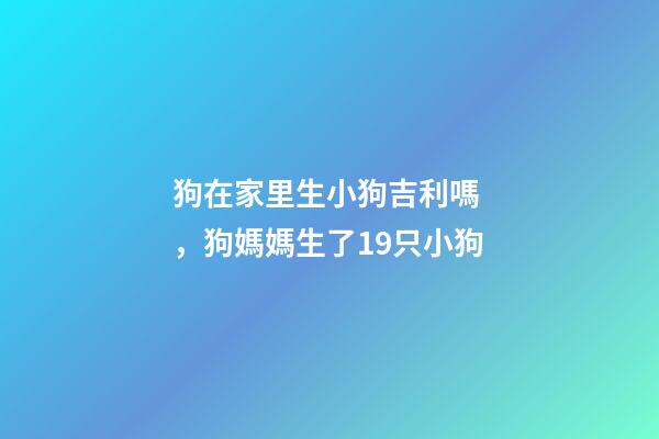 狗在家里生小狗吉利嗎，狗媽媽生了19只小狗